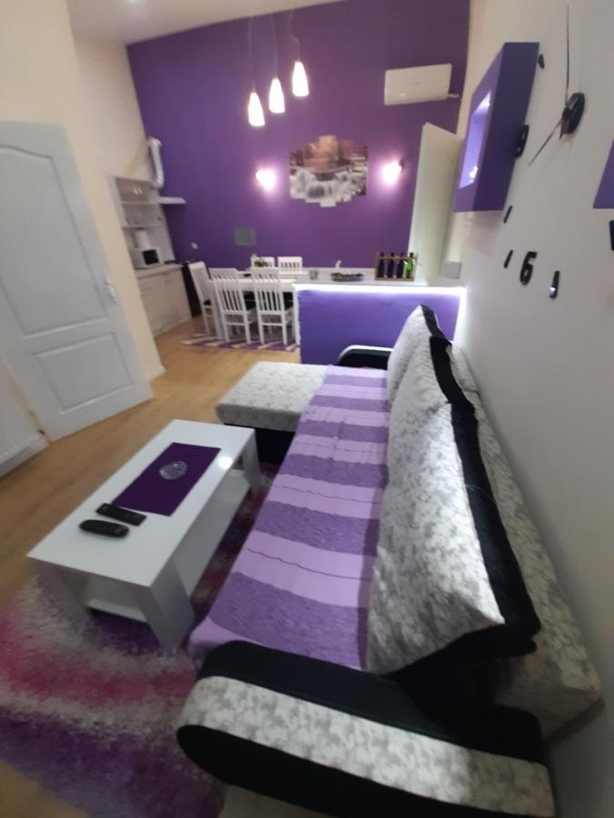 Apartman Lela Vrsac Esterno foto