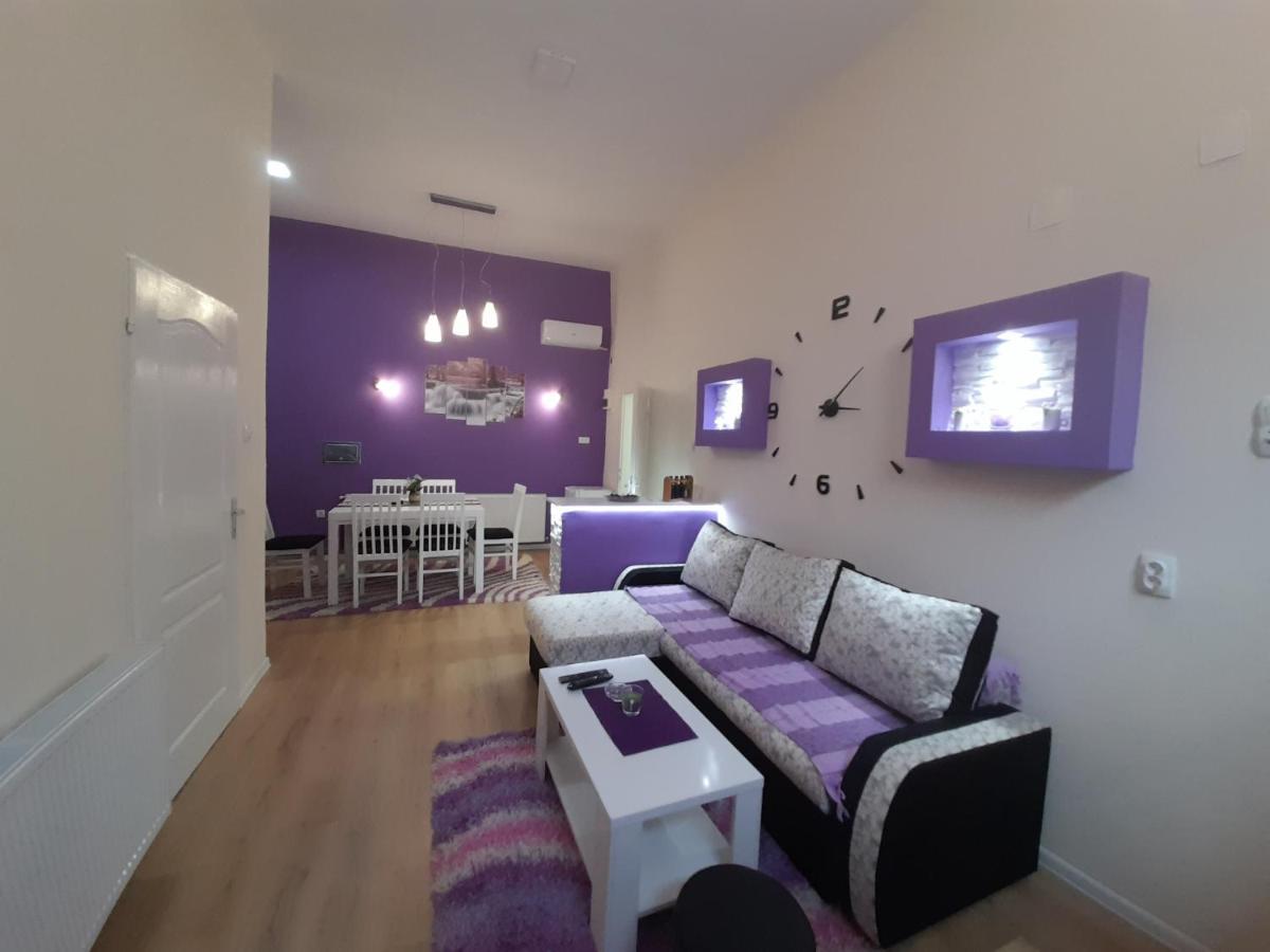 Apartman Lela Vrsac Esterno foto