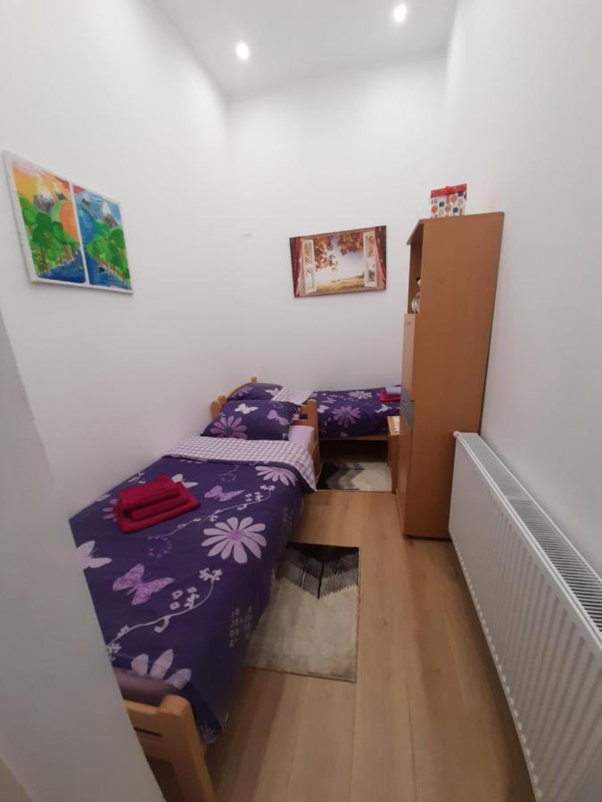 Apartman Lela Vrsac Esterno foto