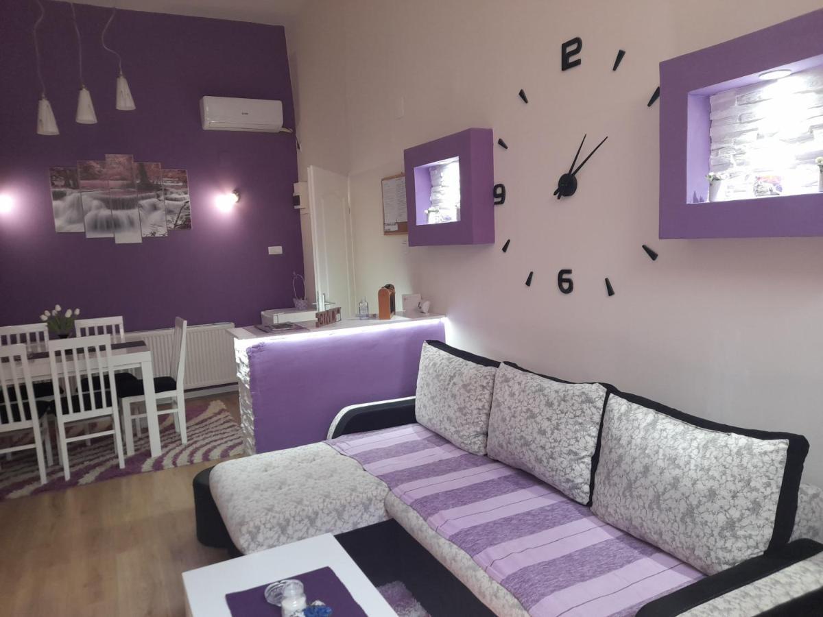 Apartman Lela Vrsac Esterno foto