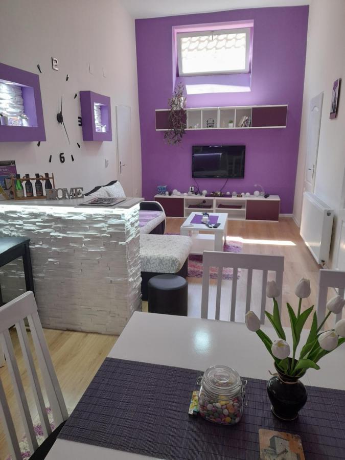 Apartman Lela Vrsac Esterno foto