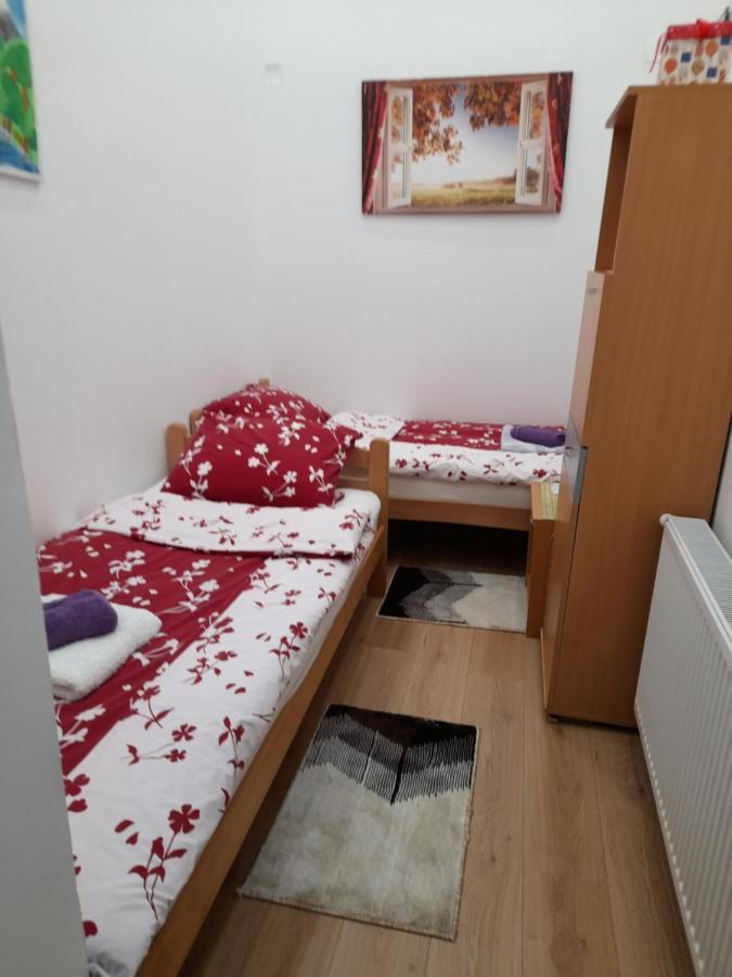 Apartman Lela Vrsac Esterno foto