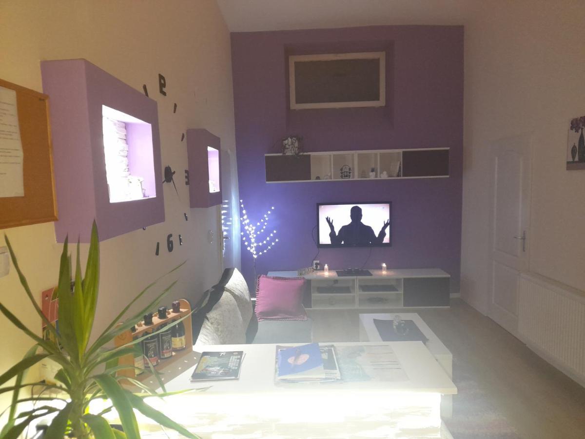 Apartman Lela Vrsac Esterno foto