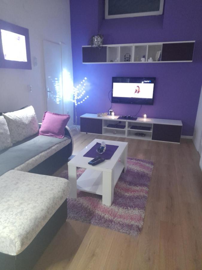 Apartman Lela Vrsac Esterno foto