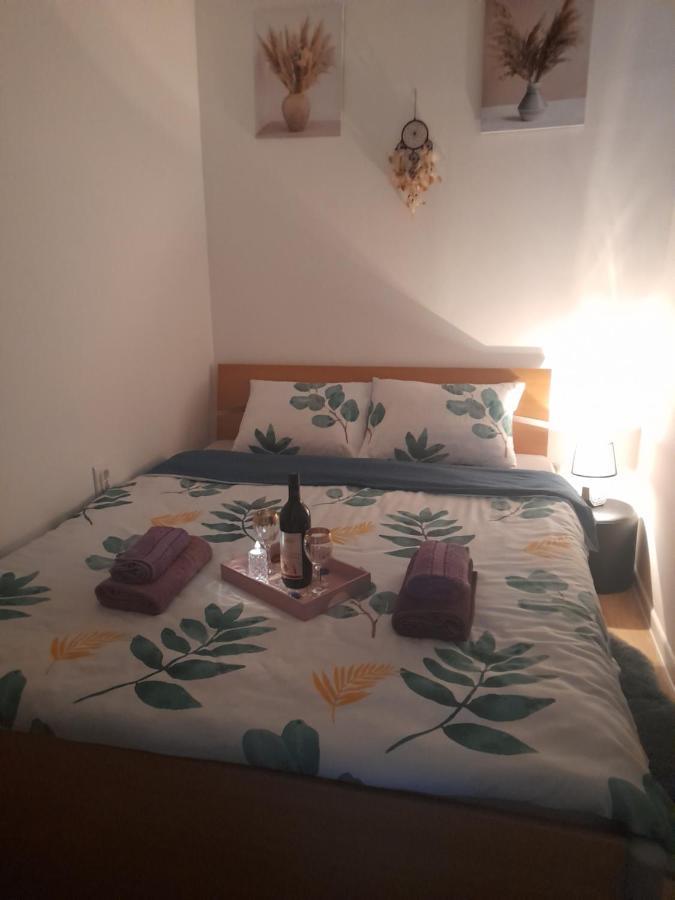 Apartman Lela Vrsac Esterno foto