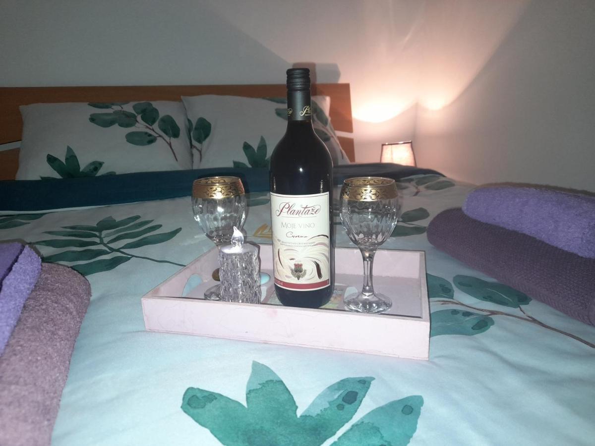 Apartman Lela Vrsac Esterno foto