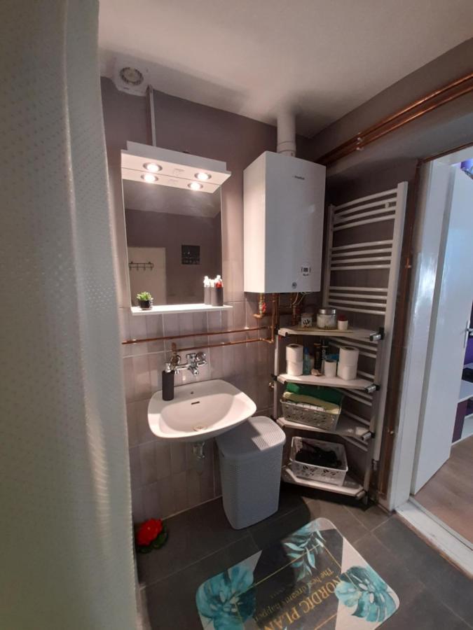 Apartman Lela Vrsac Esterno foto