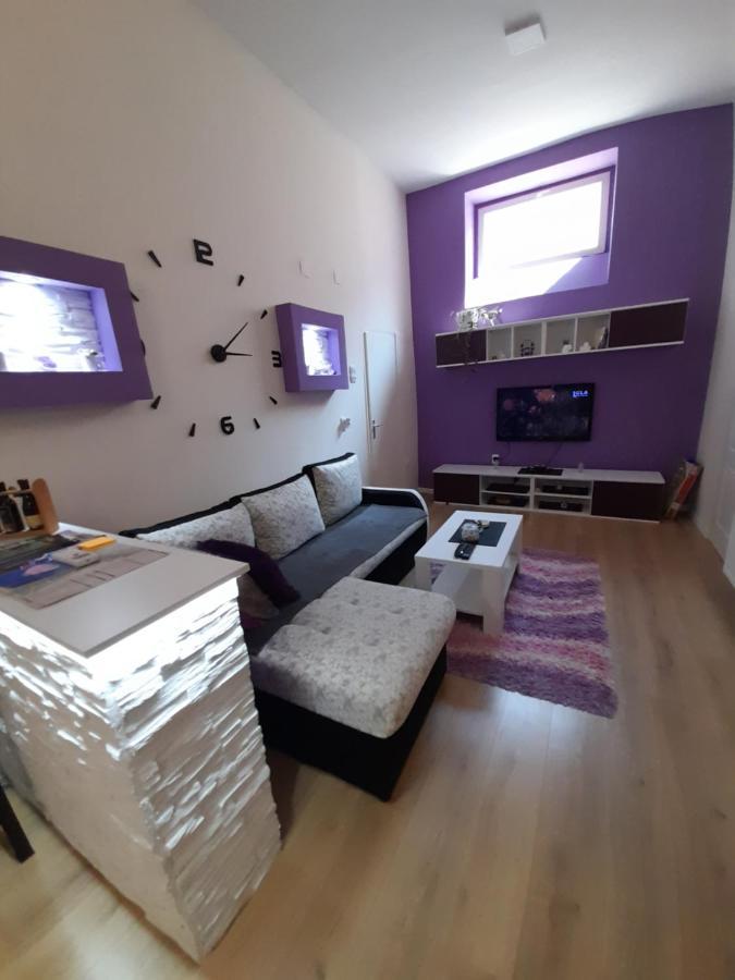 Apartman Lela Vrsac Esterno foto