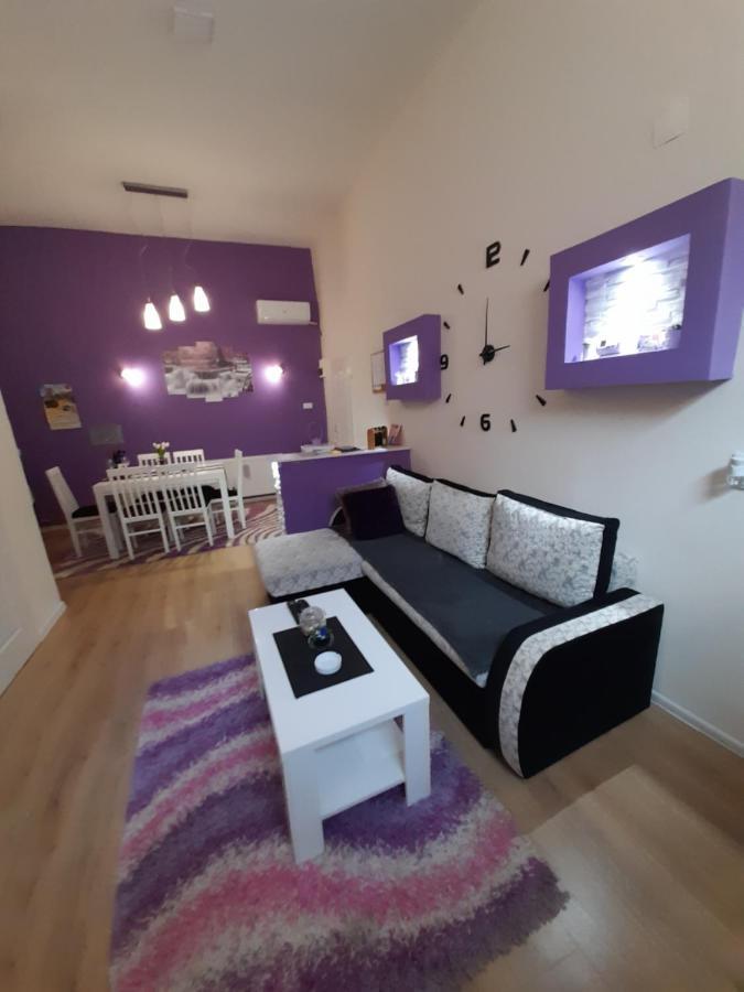 Apartman Lela Vrsac Esterno foto