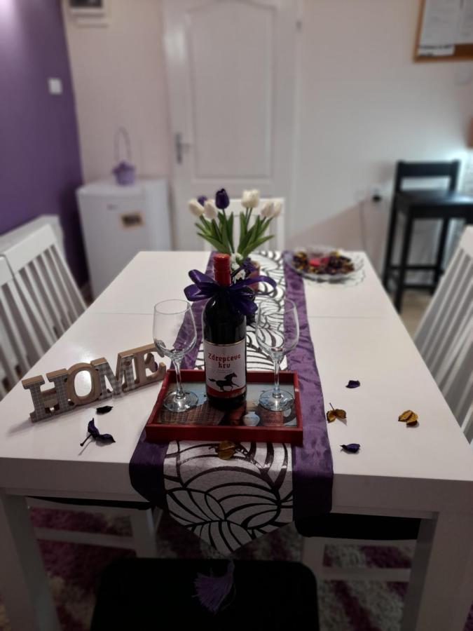Apartman Lela Vrsac Esterno foto