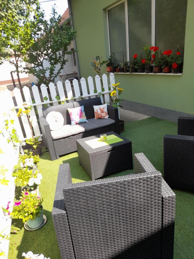 Apartman Lela Vrsac Esterno foto